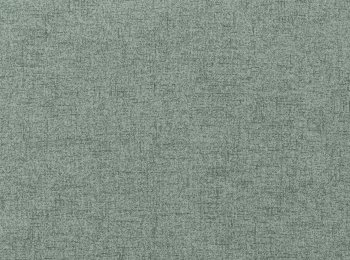 Photo of dimout traveler green tea