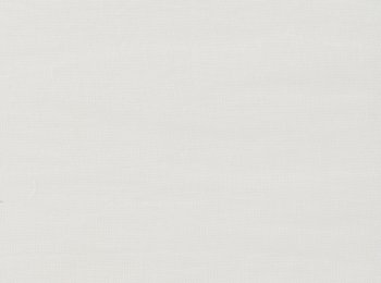 Photo of trend natur