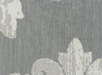 Photo of true love natur