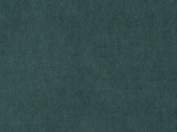 Photo of vellutino green