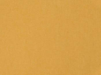 Photo of vellutino yellow