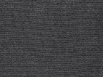 Photo of vellutino elephant