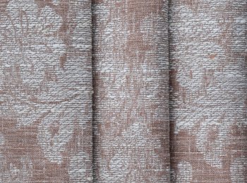 Photo of ventus rose