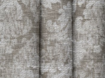 Photo of ventus l.chocolate