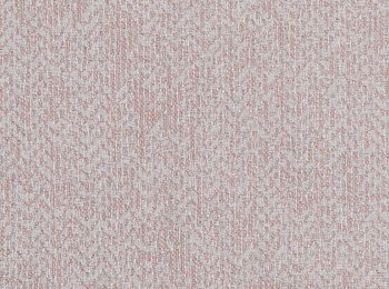 Photo of vision powder