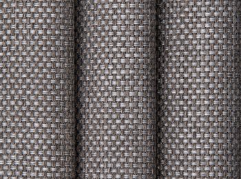 Photo of vocal grey-brown