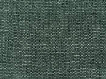 Photo of waves green