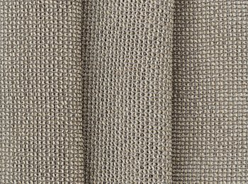 Photo of wild beige-black