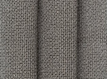 Photo of wild anthrax