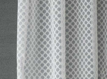 Photo of wonderful natur