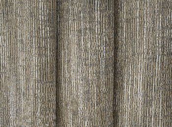 Photo of woods bronze