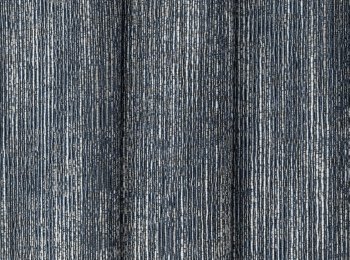 Photo of woods blue-grey